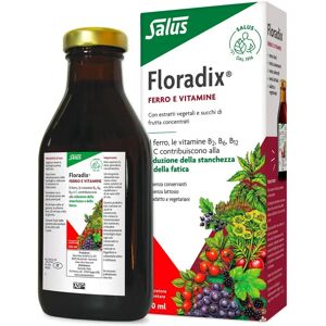 Salus Pharma Floradix Liquid Iron Formula - 250ml Salus Pharma Floradix Liquid Iron Formula - 250ml
