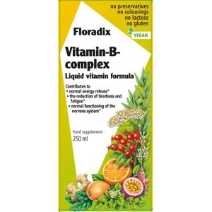 Salus Floradix Complexe de Vitamines B Liquide - 250ml - Publicité Salus Floradix Complexe de Vitamines B Liquide - 250ml - Publicité