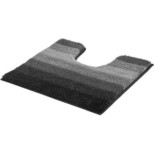 Tapis de bain Meusch Palace - Rectangulaire, rayé, dégradé, 55x50 cm - Publicité Tapis de bain Meusch Palace - Rectangulaire, rayé, dégradé, 55x50 cm - Publicité