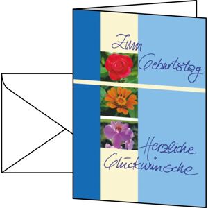Sigel DS610 Geburtstagskarten - 10 Stück, DIN A6, Glanzkarton Sigel DS610 Geburtstagskarten - 10 Stück, DIN A6, Glanzkarton