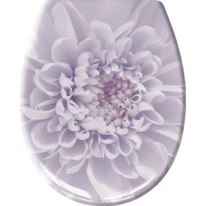 Sedile W.C. Viola Kleine Wolke - Chiusura morbida, Easy-Click Sedile W.C. Viola Kleine Wolke - Chiusura morbida, Easy-Click