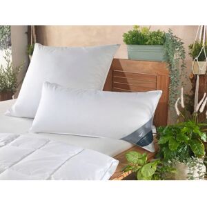 HAEUSSLING GRÖNLAND Daunenkopfkissen - 3-Kammer, Weiß, 80x80cm HAEUSSLING GRÖNLAND Daunenkopfkissen - 3-Kammer, Weiß, 80x80cm