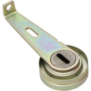 INA 531 0097 10 Polea tensora - Polea tensora para Peugeot y Citroën INA 531 0097 10 Polea tensora - Polea tensora para Peugeot y Citroën