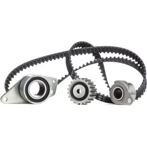 INA 530 0038 10 Distributieriemenset - Set voor Renault, Volvo, Dacia INA 530 0038 10 Distributieriemenset - Set voor Renault, Volvo, Dacia