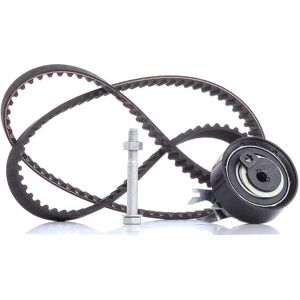 INA Timingriem Kit - 530 0166 10 - 135 Tanden INA Timingriem Kit - 530 0166 10 - 135 Tanden