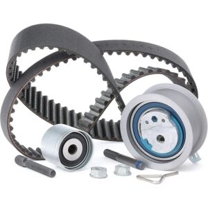 INA 530 0201 10 Distributieriem Kit INA 530 0201 10 Distributieriem Kit