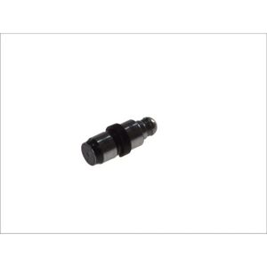 Hydraulisk Ventilskifare BMW - INA Hydraulisk Ventilskifare BMW - INA