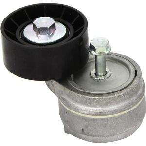 INA Tensioner - Model 534 0101 20 - Tensioner for Fiat, Alfa Romeo, Lancia INA Tensioner - Model 534 0101 20 - Tensioner for Fiat, Alfa Romeo, Lancia