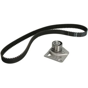 Kit de distribución INA con polea y tensor Kit de distribución INA con polea y tensor