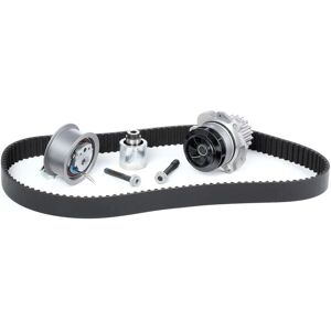 INA Water Pump & Timing Belt Kit - 530 0201 32 INA Water Pump & Timing Belt Kit - 530 0201 32