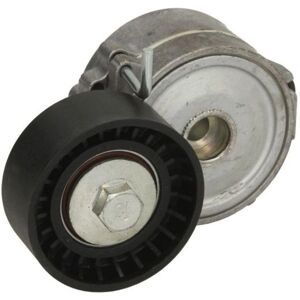 INA Modello 534 0068 10 Tensionatore Alternatore - Tensionatore Alternatore INA Modello 534 0068 10 Tensionatore Alternatore - Tensionatore Alternatore