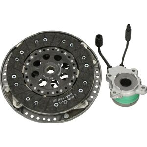 LuK 600 0073 00 Kit Frizione - Con Volano e Viti LuK 600 0073 00 Kit Frizione - Con Volano e Viti
