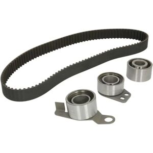 INA 530 0581 10 Distributieriem Kit - Voor Land Rover Freelander I INA 530 0581 10 Distributieriem Kit - Voor Land Rover Freelander I