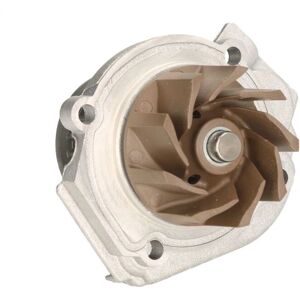 INA 538 0062 10 - Water Pump for Fiat, Alfa Romeo, Chrysler INA 538 0062 10 - Water Pump for Fiat, Alfa Romeo, Chrysler