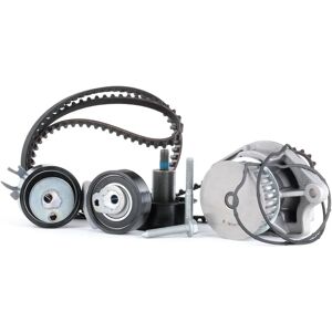 INA Water Pump & Timing Belt Kit 530 0538 30 - Water Pump & Timing Belt Kit INA Water Pump & Timing Belt Kit 530 0538 30 - Water Pump & Timing Belt Kit