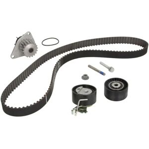 INA Waterpomp & distributieriem set 530 0419 30 - Waterpomp & distributieriem INA Waterpomp & distributieriem set 530 0419 30 - Waterpomp & distributieriem