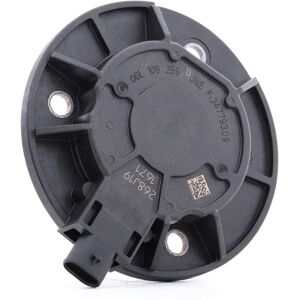 INA Central Magnet - Camshaft Adjustment - Engine Timing Chain INA Central Magnet - Camshaft Adjustment - Engine Timing Chain