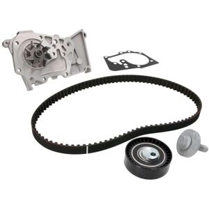 INA Water Pump & Timing Belt Kit - Renault Dacia Nissan INA Water Pump & Timing Belt Kit - Renault Dacia Nissan