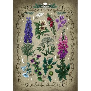 Puzzle Ravensburger 1000 Pezzi - Piante Tossiche - Qualità Premium Puzzle Ravensburger 1000 Pezzi - Piante Tossiche - Qualità Premium