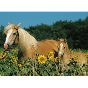 Ravensburger Model XXL Puzzle - Animals Ravensburger Model XXL Puzzle - Animals