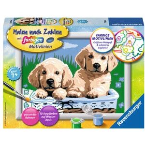 Kit de Peinture par Numéros Ravensburger - Chiots Mignons - Publicité Kit de Peinture par Numéros Ravensburger - Chiots Mignons - Publicité