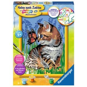 Ravensburger Malen nach Zahlen Kit - Katze mit Schmetterling - Farb- und Malset Ravensburger Malen nach Zahlen Kit - Katze mit Schmetterling - Farb- und Malset