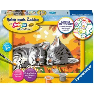 Ravensburger - Modell 28696 - Kätzchen im Herbst - Malset Ravensburger - Modell 28696 - Kätzchen im Herbst - Malset