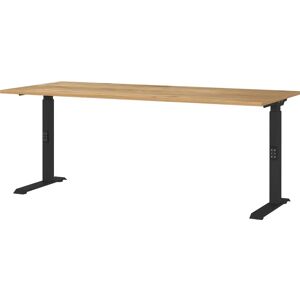 GERMANIA Downey Höhenverstellbarer Schreibtisch GERMANIA Downey Höhenverstellbarer Schreibtisch