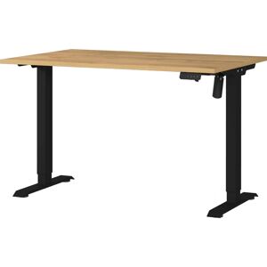 GERMANIA Profi 3.0 Elektrischer Höhenverstellbarer Schreibtisch - 120x80cm GERMANIA Profi 3.0 Elektrischer Höhenverstellbarer Schreibtisch - 120x80cm