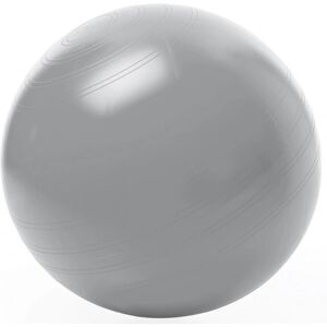 Pallone da esercizio TOGU 65cm Argento Dimensione intera Pallone da esercizio TOGU 65cm Argento Dimensione intera