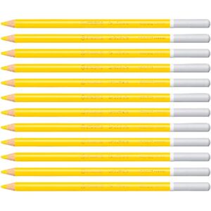 STABILO 12 Charcoal Pastell Color Pencils - Color Pencils STABILO 12 Charcoal Pastell Color Pencils - Color Pencils