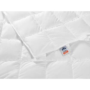 Irisette Nora Duvet - Ganzendraad, Katoenen Hoes, Allergievriendelijk Irisette Nora Duvet - Ganzendraad, Katoenen Hoes, Allergievriendelijk
