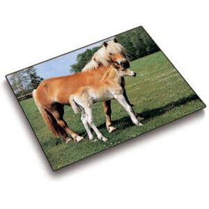 Laufer Modèle 46587 Tapis de Bureau - Cheval & Poulain - Multicolore Laufer Modèle 46587 Tapis de Bureau - Cheval & Poulain - Multicolore