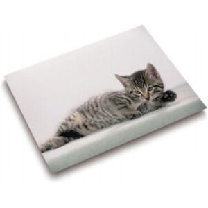 Sous-main Laufer 46592 - Chat Gris, Multicolore, 40x53 cm Sous-main Laufer 46592 - Chat Gris, Multicolore, 40x53 cm
