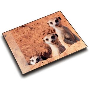 Laufer Modèle - Tapis de Bureau Multicolore - Antidérapant, Lavable, 3 Couches - Publicité Laufer Modèle - Tapis de Bureau Multicolore - Antidérapant, Lavable, 3 Couches - Publicité