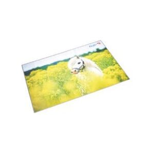 Laufer 46651 Desk Pad - Multicolour - Desk pad Laufer 46651 Desk Pad - Multicolour - Desk pad