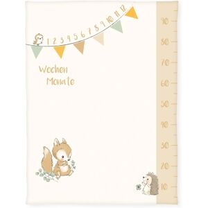 Klaus Herding GmbH Herding 1540223014 - Baby mijlpalen deken Waldfreunde - Babydeken Klaus Herding GmbH Herding 1540223014 - Baby mijlpalen deken Waldfreunde - Babydeken