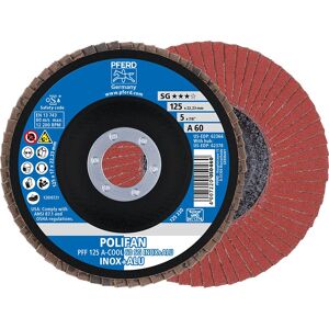 Accessoire PFERD 67656125 Meuleuse d'angle - Disques haute performance Accessoire PFERD 67656125 Meuleuse d'angle - Disques haute performance