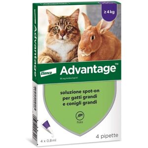 Elanco Advantage Grands Chats & Lapins - Traitement Anti-Puces - 4 Pipettes - Publicité Elanco Advantage Grands Chats & Lapins - Traitement Anti-Puces - 4 Pipettes - Publicité