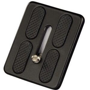 Accessorio per treppiede Hama Delta Pro 1 - Piastra a cambio rapido Accessorio per treppiede Hama Delta Pro 1 - Piastra a cambio rapido