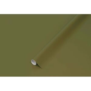 DC Fix Zelfklevende Decoratieffolie - Groen, 45cm x 2m DC Fix Zelfklevende Decoratieffolie - Groen, 45cm x 2m