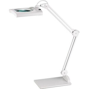 NORDWEST HANDEL AG Lampe Loupe LED 190.5mm Tête Carrée Blanche - Médical/Industriel - Publicité NORDWEST HANDEL AG Lampe Loupe LED 190.5mm Tête Carrée Blanche - Médical/Industriel - Publicité