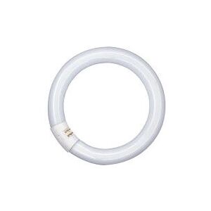 Osram G10q 22W Fluorescent Ring Light - Fluorescent bulb Osram G10q 22W Fluorescent Ring Light - Fluorescent bulb