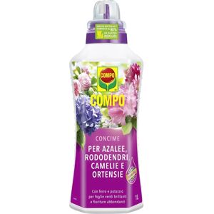 Concime Liquido Compo per Azalee, Rododendri, Camelie - Fertilizzante per piante acidofile Concime Liquido Compo per Azalee, Rododendri, Camelie - Fertilizzante per piante acidofile