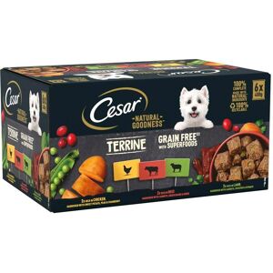 Cesar Natural Goodness - Multibuy: Mixed Selection in Loaf (24 x 400g) - Dog Wet Food Cesar Natural Goodness - Multibuy: Mixed Selection in Loaf (24 x 400g) - Dog Wet Food