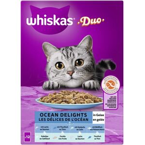 Whiskas Ocean Delights Duo en Gelée - Nourriture pour chats - Publicité Whiskas Ocean Delights Duo en Gelée - Nourriture pour chats - Publicité