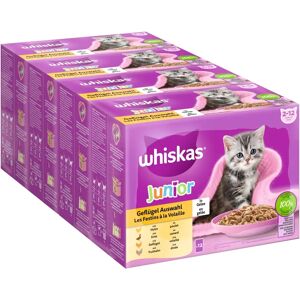 Whiskas Katzenfutter - 96 x 85 g sortenvielfalt Whiskas Katzenfutter - 96 x 85 g sortenvielfalt