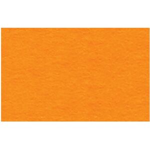 Ursus Carta Fotografica A4 - 50 Fogli - Giallo Oro - 300 g/m² Ursus Carta Fotografica A4 - 50 Fogli - Giallo Oro - 300 g/m²