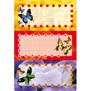 HERMA - 5574 - Obdélník - vícebarevné - Štítek HERMA - 5574 - Obdélník - vícebarevné - Štítek
