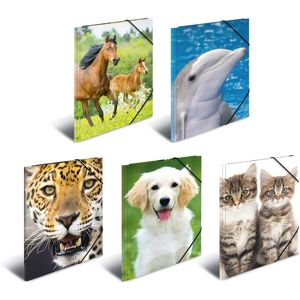 Herma A4 Animal Collection Files - 10 Pack Herma A4 Animal Collection Files - 10 Pack